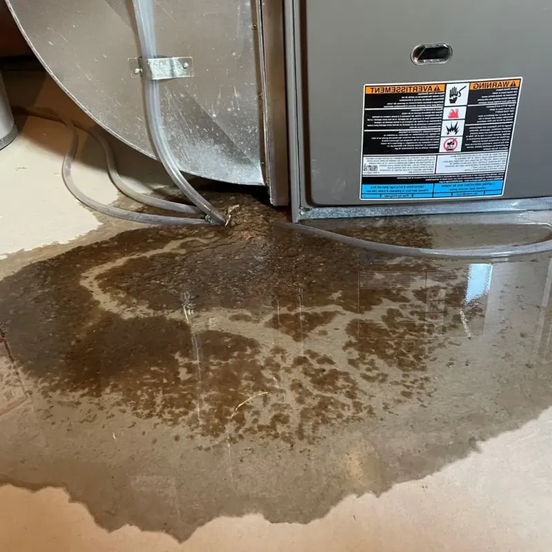 Pipe Burst and Leak Restoration in Chardon, OH