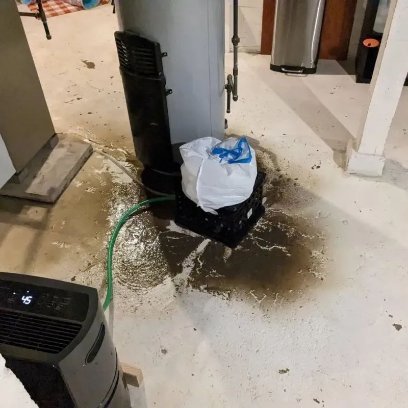 Sewage Backup Cleanup Service in Chardon, OH